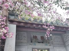 -深圳国际园林花卉博览园