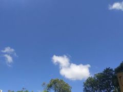 -奈雪的茶(中储能店)