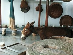 -游龙石文化科普馆