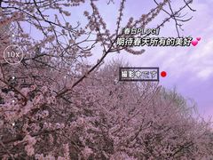 -朝阳公园