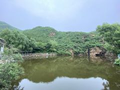 -双新垂钓园