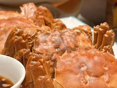 -鸢飞潍坊菜馆(鸢飞大酒店)