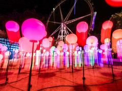 -锦江乐园舞狸花花游园会(夜场专享)