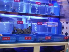 -小龍鳳·港式海鲜打边炉(沙湖路店)