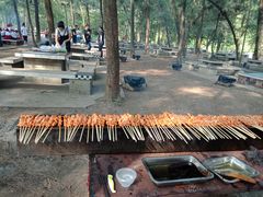 -南宁良凤江国家森林公园