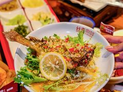 -丝恋丝娃娃(逸天城国贸店)