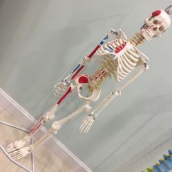 -至臻康妍健康管理中心