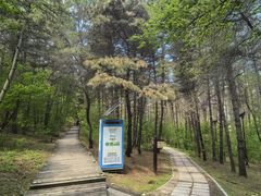 -帽儿山国家森林公园