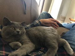 -瑞鹏瑞爱宠物医院·全科·猫科·血液透析中心(龙头寺店)