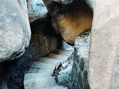 -鲁山国家森林公园