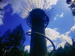 -黄海国家森林公园