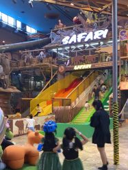 点击看大图 -卡通尼·Safari非洲探索乐园·生日会(金桥国际商业广场店)