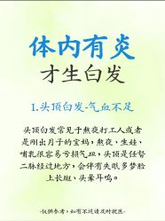 -Bollins波林丝•专研护发中心