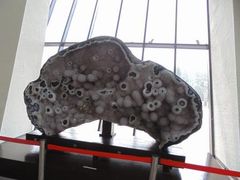 -中华赏石园