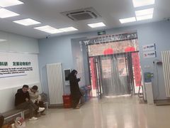 -中国农业大学动物医院