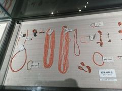 -重庆自然博物馆(新馆)