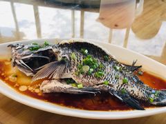 -七鲜渔港美食餐厅(巽寮湾海景店)