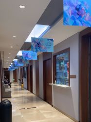 -杭州米兰柏羽医疗美容医院