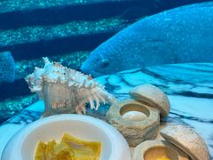 -亚特兰蒂斯•OSSIANO奥西亚诺海底餐厅