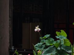 -成都市文殊院