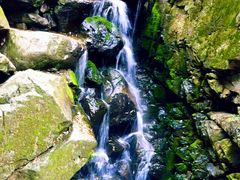 -藏龙百瀑风景区