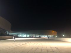 -梦之蓝青奥体育公园体育馆