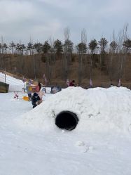-浅山蜜塘奇妙乐园·亲子营地