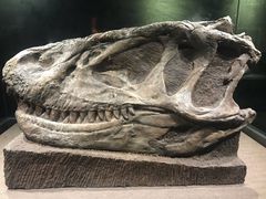 -自贡恐龙博物馆