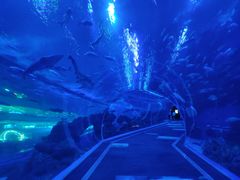 -成都浩海立方海洋公园