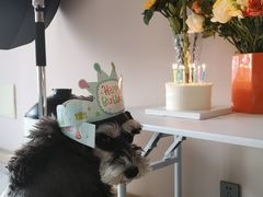 -亦家cake·0卡糖