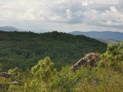 -长虫山生态公园风景林
