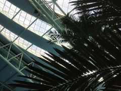 -青岛东方影都融创水世界