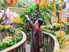 -正佳雨林生态植物园