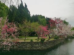 -无锡蠡湖国家湿地公园-蠡园