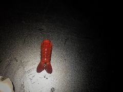 -西街夜油条·麻团包乌饭