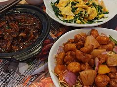 -美食小镇·观赏珍稀鸟类·长隆熊猫酒店