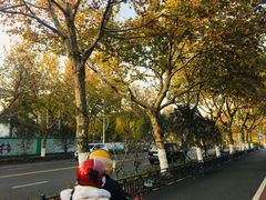 -东湖景区