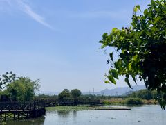 -白塔湖国家湿地公园