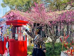 -金鸡湖桃花岛