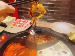 -蜀大侠火锅(森兰花园城店)