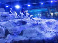 -上海海昌海洋公园-停车场