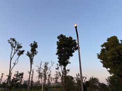 -白家高记肥肠粉(总店)
