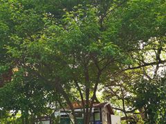 -杭州半山国家森林公园