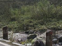 -西岭雪山大飞水景区