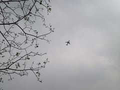 -上海鲜花港