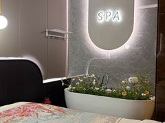 -小仙女采耳·按摩·SPA(深圳旗舰店)