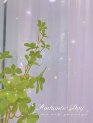 点击看大图 -久匠半永久纹眉