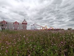 -满洲里口岸套娃景区