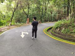 -分塔山省级森林公园