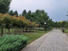 -北坞公园